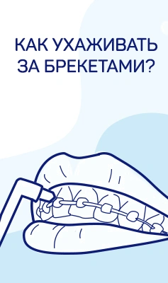Доктор Слон Интернет Магазин Официальный Сайт