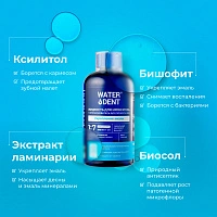 Набор жидкостей для ирригатора Waterdent Укрепление эмали, 6 шт