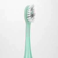 Насадки Ordo Sonic+ мятно-зеленые (2шт) - изображение 2