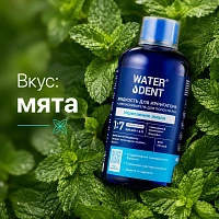 Жидкость для ирригатора Waterdent Укрепление эмали - изображение 3