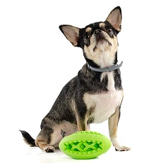 Игрушка для собак мяч регби EliteDog, зелёная