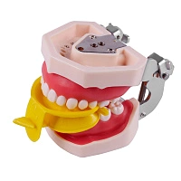 Одноразовые капы размера S (10 шт.)