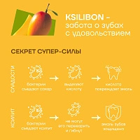 Леденец на палочке Ksilibon Bio Lollipop Манго, 50 шт