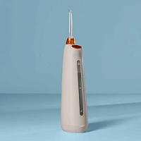 Ирригатор Bork F750ch