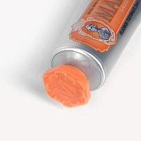 Зубная паста Marvis Ginger Mint Имбирь и мята 25 мл