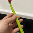 Картинка 102