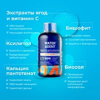 Жидкость для ирригатора Waterdent Анти-кариес 12+, 500 мл - изображение 3