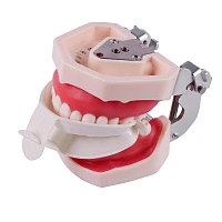 Одноразовые капы размера M (10 шт.)