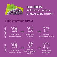 Драже Ksilibon Drops Виноград Ред глоуб (флоупак) 50 шт. - изображение 3