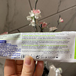 Картинка 19