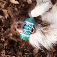 Игрушка для чистки зубов со вкусом копченой курицы синяя - изображение 4