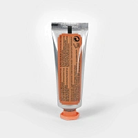Зубная паста Marvis Ginger Mint Имбирь и мята 25 мл - изображение 7