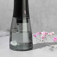 Ирригатор Revyline RL 450 Черный - изображение 5