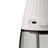 Ирригатор Revyline RL 220 Белый