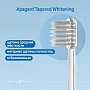 Отбеливающая зубная щетка Apagard Tapered Whitening - изображение 2
