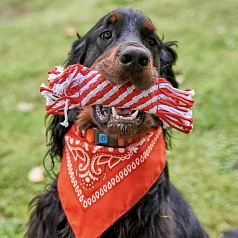 Игрушка-канат с гудком для чистки зубов