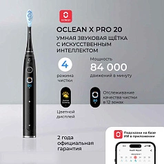 Электрическая зубная щетка Oclean X Pro 20 Черный