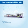 Зубная паста Twin Lotus Herbal Plus Salt С травами и солью, 90 гр - изображение 3