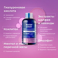 Жидкость для ирригатора Waterdent Вечерний детокс, 500 мл 