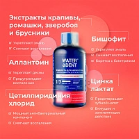 Набор жидкостей для ирригатора Waterdent Укрепление дёсен, 6 шт - изображение 3