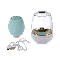 Щётка для очищения и массажа лица Gezatone AMG110 - изображение 4