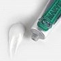 Зубная паста Marvis Classic Strong Mint Классическая мята 25 мл - изображение 6