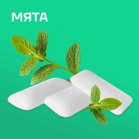 Жевательная резинка Ksilibon Gum Свежая мята, 30 шт