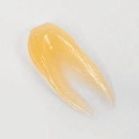 Зубная паста White Secret Gold Отбеливающая, 75 мл - изображение 4