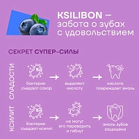 Леденец на палочке Ksilibon Lollipop Голубика, 50 шт.